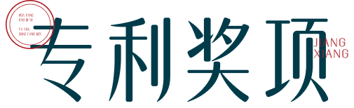 专利奖项
