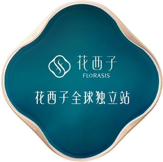 全球独立站
