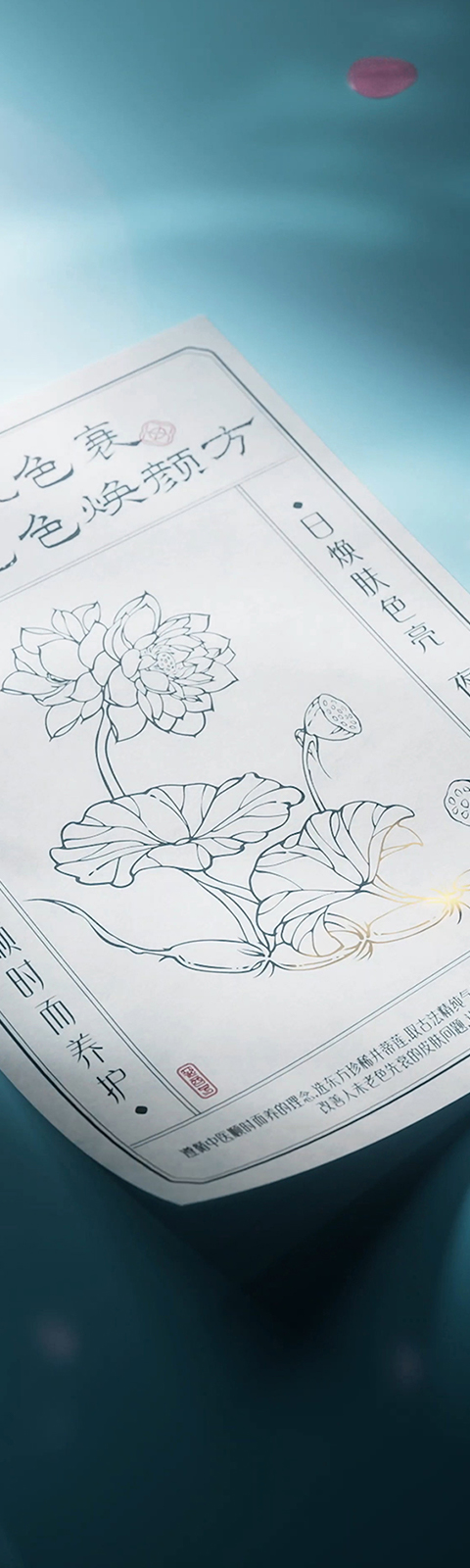 中医药理论体系研究